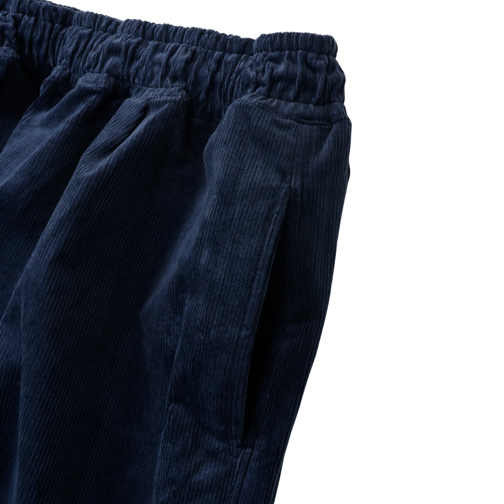 ALVA CHINO PANTS [NAVY CORDUROY]