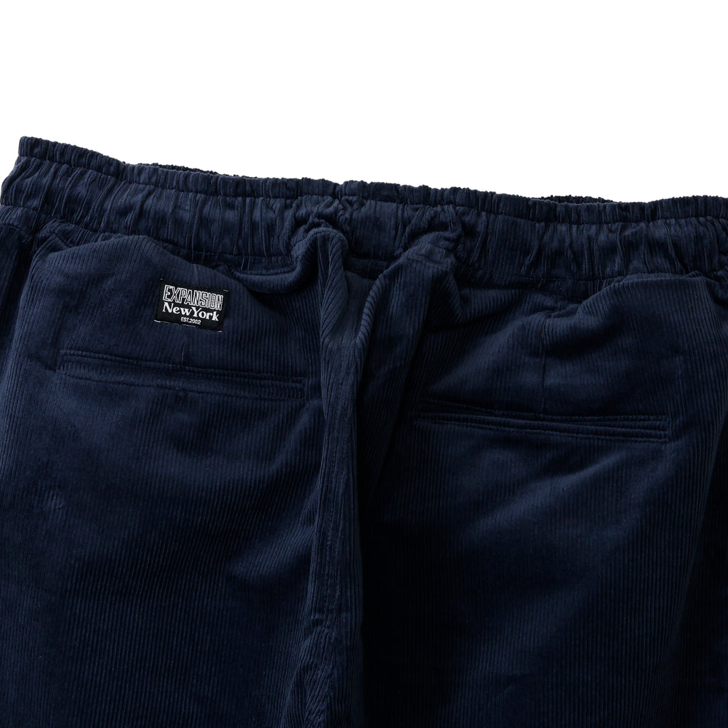 ALVA CHINO PANTS [NAVY CORDUROY]