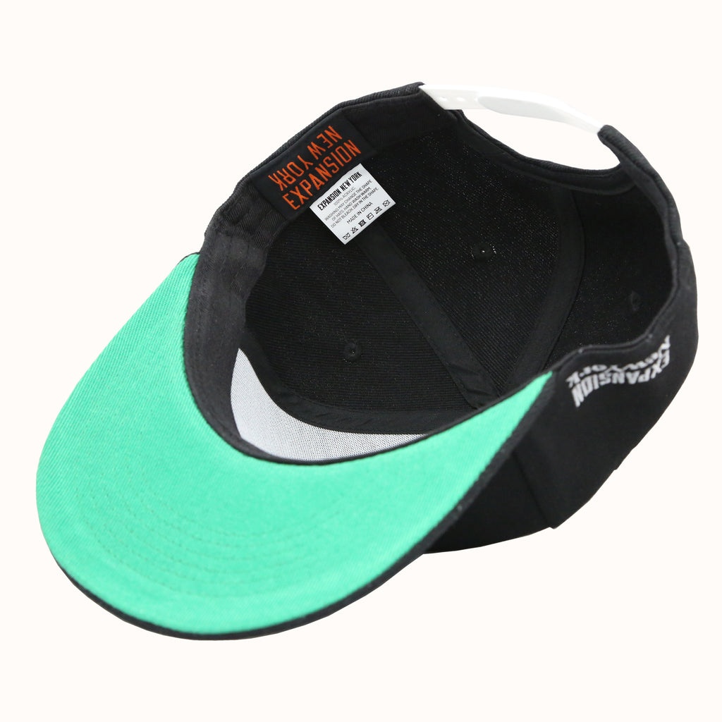 AVIREX X EXP NY OG CAP (BLACK)